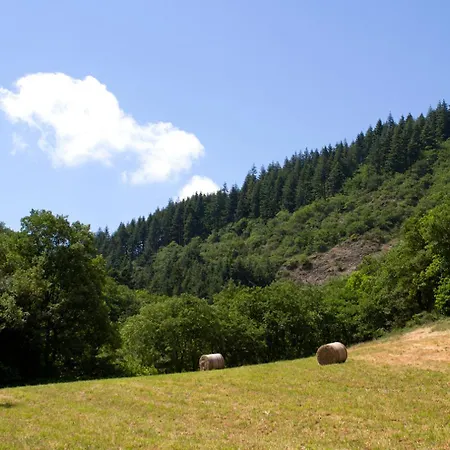 De Lascours, D'etape Pleine Nature. 펜션