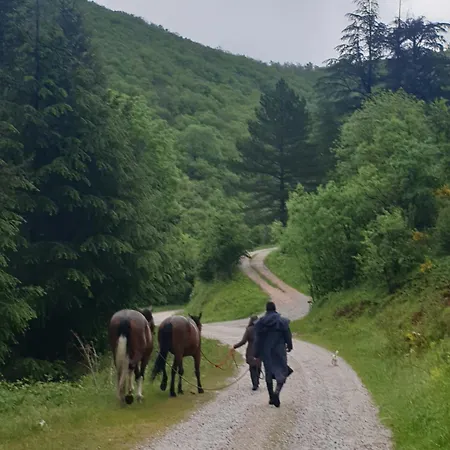 De Lascours, D'etape Pleine Nature. *