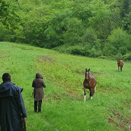De Lascours, D'etape Pleine Nature. * Ceilhes-et-Rocozels