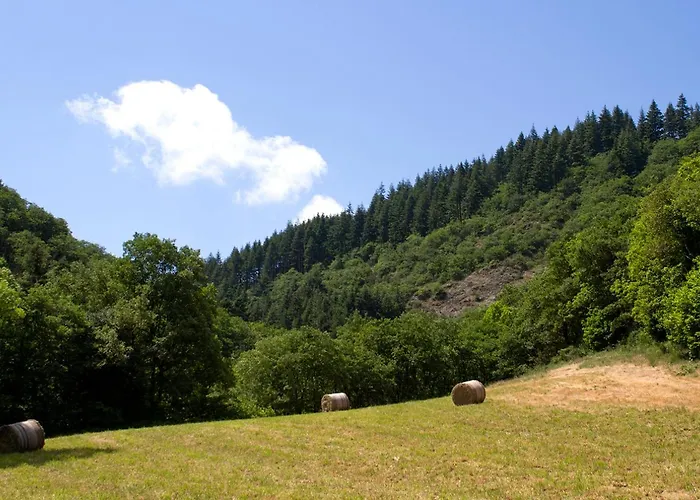 De Lascours, D'etape Pleine Nature. 別荘
