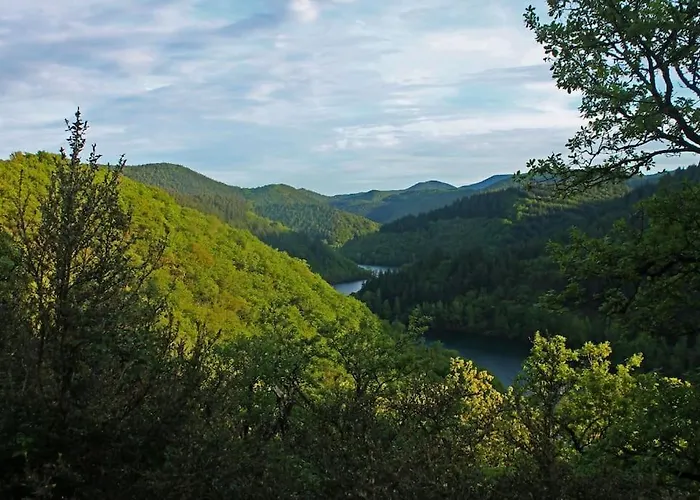 De Lascours, D'etape Pleine Nature. 別荘 *