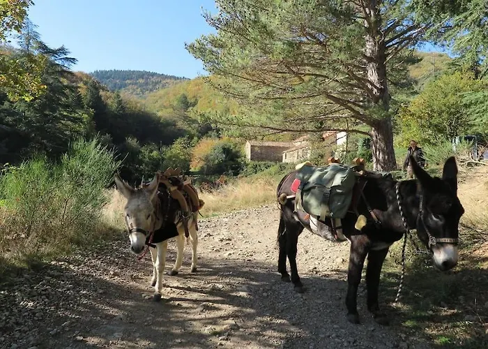 別荘 De Lascours, D'etape Pleine Nature.