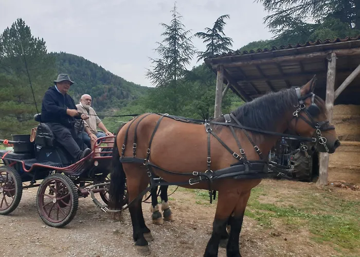 別荘 De Lascours, D'etape Pleine Nature. *