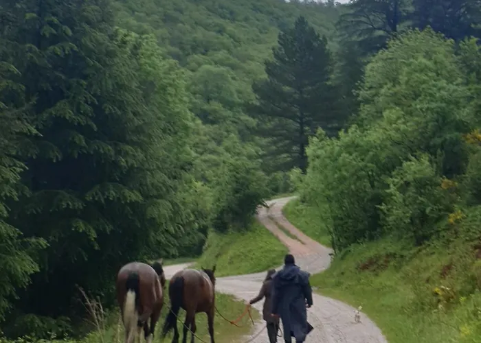 De Lascours, D'etape Pleine Nature. *