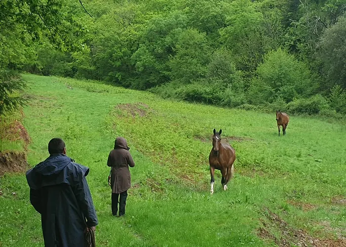 De Lascours, D'etape Pleine Nature. * Ceilhes-et-Rocozels